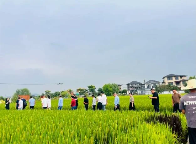 田间学校培训案例